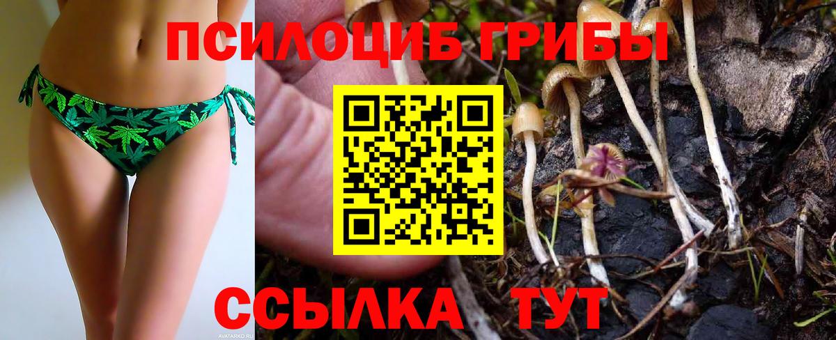 Галлюциногенные грибы Cubensis Анапа