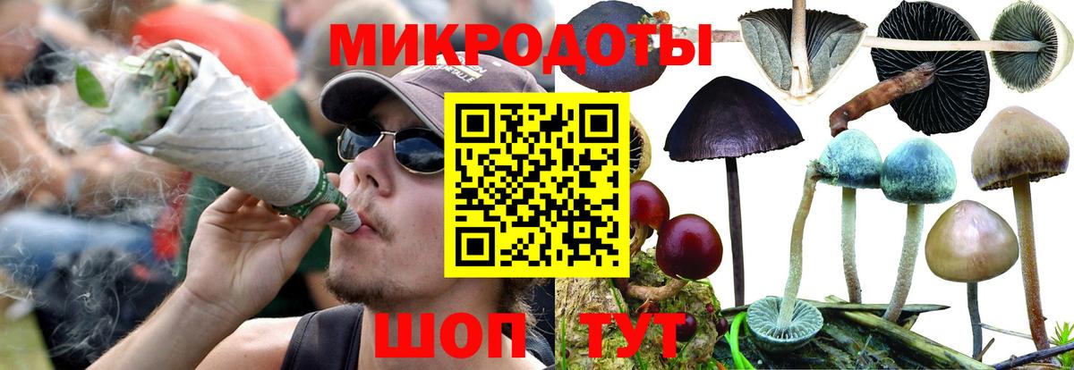 Галлюциногенные грибы MAGIC MUSHROOMS  Вход с VPN  Анапа 